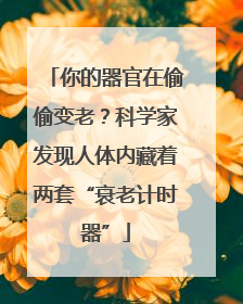 你的器官在偷偷变老？科学家发现人体内藏着两套“衰老计时器”